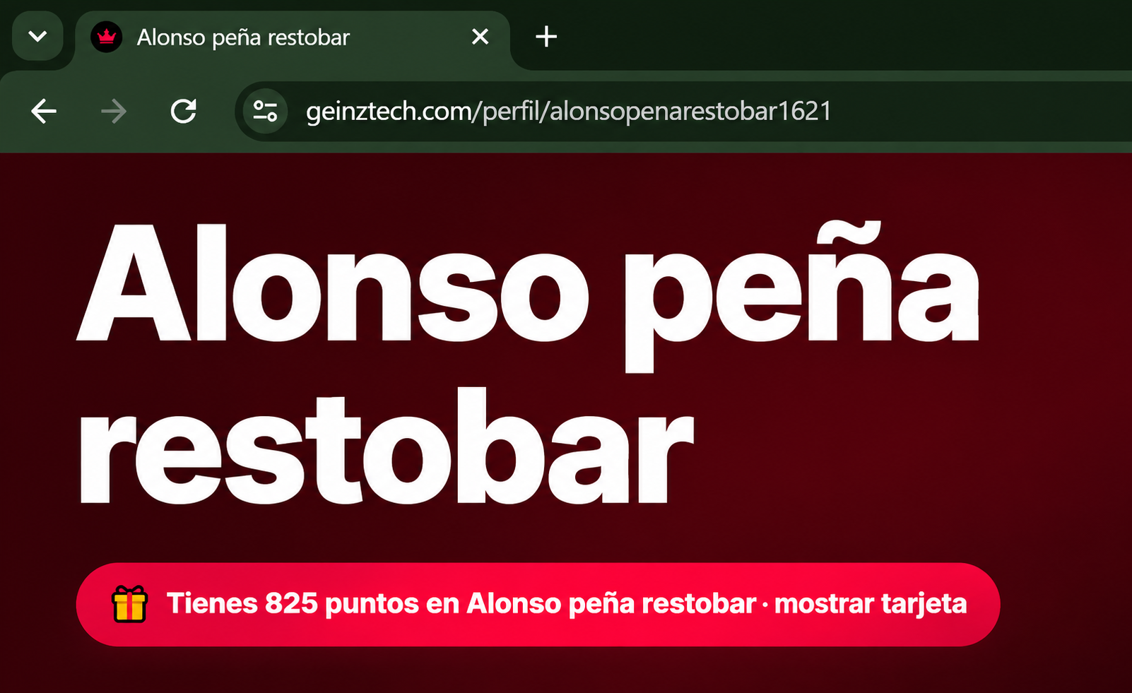 Vista previa de un enlace compartido con GEINZ
